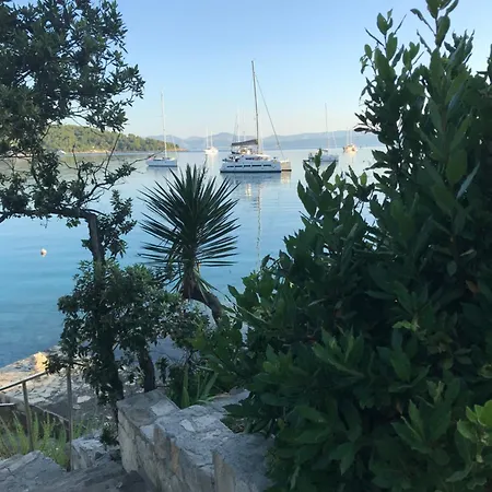 Apartman Olive * Nečujam